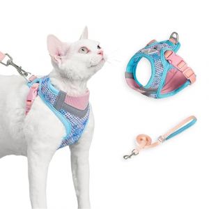 Harnais Chat avec Laisse, Anti-Évasion, Réfléchissant, Respirant Réglable, Gilet-Harnais pour Chaton pour Promenades Extérieures Confortables, Convient aux Chats et Petits Chiens (Bleu-Rose, M) (MS Momo, neuf)