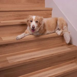 Spurtar Transparent Tapis Antid&eacute;rapant,Anti Derapant Tapis Escalier Moquette 15 x 81 cm Bande Antid&eacute;rapante Escalier en Bois Protection Couvre Marche Escalier,Lot de 15 Bandes，Motif de Diamant (Wittyware EU, neuf)