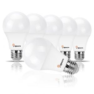 BHMAOYN Ampoule 12V 24V E27 LED 10W Blanc Froid 6000K,270°1100LM, Ampoule Basse Tension AC DC 12V 24V E27,Ldéal Pour L'éclairage Pour Caravane/Camping-Car,Cabine Du Bateau,Garage,Lot de 6 (BHMAOYN, neuf)