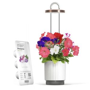 Kit Mini Jardin d'Intérieur avec Capsule de Pétunia par Click&Grow, Hydrovase Smart Garden, Vase Auto-Arrosant avec Lampe de Croissance (Click & Grow Shop, neuf)