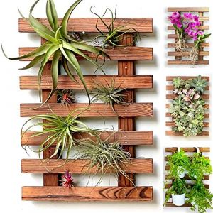 ShopLaLa Jardinière murale – Support en bois pour plantes succulentes d'intérieur et d'extérieur, orchidée vivante Cadre d'affichage vertical pour jardin, balcon, terrasse, salle de bain, Macetas para (Ma Boutique Élégante, neuf)