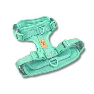 Harnais anti-traction pour chiens - Réglable et confortable - Races petites, moyennes et grandes - Promenades sûres et sans traction - La Casa de Turrón (menthe (turquoise), S (cou 24-34 cm, poitrine (La Casa de Turrón, neuf)