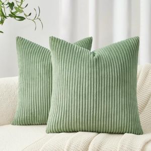 Topfinel Housse de Coussin 40 x 40 Vert Anis en Velours C&ocirc;tel&eacute; Respirant Housse Douce pour Coussin D&eacute;coratif Canap&eacute; Salon Chambre Lit Adulte Scandinave Boheme Lot de 2 (NoledarEU, neuf)