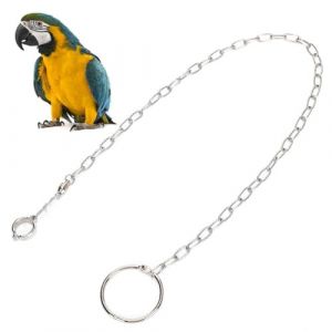 Cyrank Chaîne De Pied Split en Acier Inoxydable pour Perroquets, 54cm Bracelet De Cheville pour Perroquet Ceinture De Traction D'oiseau Formation Chaîne De Pied pour d'animal De Compagnie (Chophin-EU, neuf)