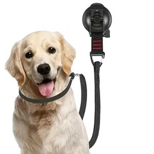 Attache de bain pour chien avec ventouse, retenue de baignoire de toilettage pour chien | Sangles de retenue pour chien avec ventouse,Sangles d'attache de s&eacute;curit&eacute; pour le bain des chiens de petite et (yehuiler, neuf)