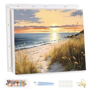 MEIYUDA Peinture par Numero Adulte avec Cadre Bord de mer, Paysage Kit de Peinture à l'Huile sur Toile par Numéro, Débutants Peinture Acrylique Pigmentée, Decoration Maison Cadeau 40x30cm (JINBEIKANG, neuf)