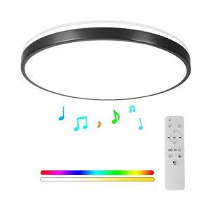 Horevo Plafonnier Bluetooth 24W avec Haut-Parleur 30CM, Plafonnier LED Musique et T&eacute;l&eacute;commande, Changement de Couleur Dimmable Pour la Salle de Bain de la Chambre d&rsquo;enfants (noir) (Horevo, neuf)