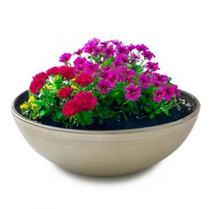 matches21 HOME & HOBBY matches21 Grand bac à plantes résistant aux intempéries pour l'extérieur – Grand bol décoratif en feuille de champagne – 30 cm pour fleurs, bonsaï ou cimetière (matches21 HOME & HOBBY, neuf)