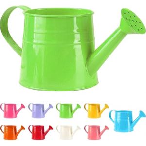 Youning - Arrosoir Petit pour Plantes d'Int&eacute;rieur 1L - Petite Arrosoir M&eacute;tallique - Vase pour Fleurs - Gie&szlig;kanne de Jardin - Canne &agrave; Eau - Arrosoir Vintage - Arrosoir pour Plantes - Outil de Jardin (ZDD123, neuf)