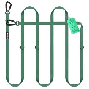 BLUZELLE Laisse Chien 3m Imperméable, Longe Biothane PVC Ajustable Réglable, Laisse Double pour 2 Chiens Laisse Mains Libres, 2X Grand Mousqueton 360° en Aluminium Extra Solide, Couleur:Vert (BF-Commerce GmbH, neuf)