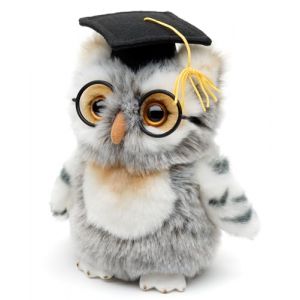 Uni-Toys - Chouette (Gris-Blanc) avec Chapeau de Docteur et Lunettes – 18 cm (Hauteur) – Oiseau en Peluche – Doudou (Uni-Toys Shop, neuf)