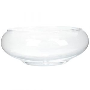 Pot de fleur de lotus, bol à poissons, pot de lotus rond de 15,2 cm, bol de fleur de lotus transparent, bol décoratif en verre pour fleurs, plantes succulentes, plantes hydroponiques, poissons (YoOpaTia, neuf)