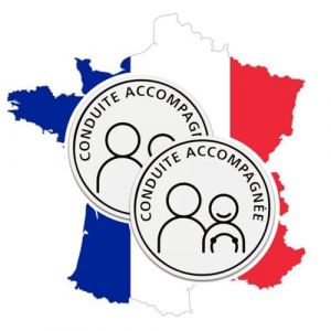 BenjiPower Disque Conduite Accompagnée Électrostatique, 2PCS Disque Conduite Accompagnée Auto, A Apposer sur Le véhicule, Disque Electrostatique, Ø 15cm (BENJISHOPFRANCE, neuf)