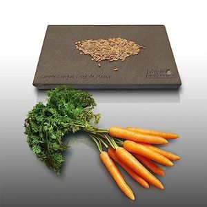 500 graines à semer - Le Grenier d'Abondance - CAROTTE Longue Lisse de Meaux - Daucus Carota (LE GRENIER D'ABONDANCE, neuf)