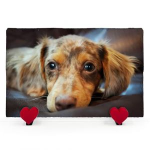 AMAZING Plaque Commémorative Personnalisée avec Photo Et Texte Ardoise en Forme De Coeur pour Chien Chat avec Présentoir en Forme De Coeur - Horizontale - Taille 20x30 cm (PrintAmazing, neuf)