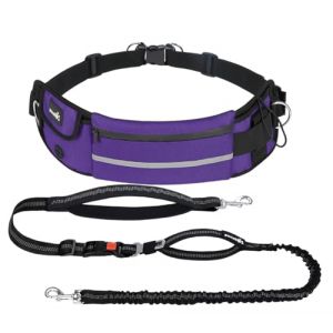 Pecute Laisse Canicross Chien, Harnais Ceinture pour Chien sans Les Mains, Laisse Réfléchissante Anti-Fuite avec Ceinture Lombaire Réglable, Harnais de Promenade Sécuritaire pour Moyens/Grands Chiens (Ligaoo, neuf)