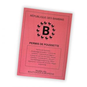 G&eacute;n&eacute;rique Permis de Poussette Humoristique &ndash; Cadeau Original Futur Papa/Maman &ndash; Annonce Grossesse &ndash; Accessoire Parent &ndash; Id&eacute;e Cadeau Naissance B&eacute;b&eacute; (Leybroderie, neuf)