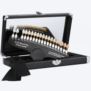 LVCHEN ANNWAH Guide de couleur dentaire professionnel pour blanchir les dents - Kit de blanchiment des dents - En porcelaine - Tableau 3D R-20 avec 20 couleurs (maple leaves shopping, neuf)