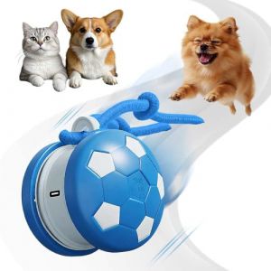 RuiDay Balle Interactive pour Chien, Balle roulante Automatique avec Laisse, Jouets pour Chiens, Rechargeable, pour Chiots, Petits, Moyens Chiens (Bleu) (JIANyuc, neuf)