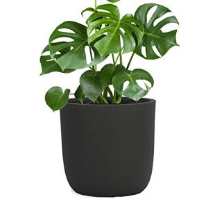 Pflanzwerk&reg; Pot de Fleur Fibre de Verre Cup &Oslash;42cm Anthracite Jardini&egrave;re antigel* *Protection UV* *Qualit&eacute; europ&eacute;enne* (Pflanzwerk Deutschland GmbH, neuf)