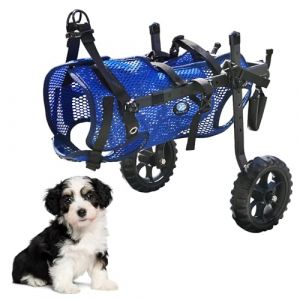KAJILE Fauteuil Roulant Pliant pour Chien à 2 Roues,Fauteuil Roulant à Pattes Arrière pour Petit Animal de Compagnie,Support Réglable en Tissu Maillé,Bleu,XS (Holiday beach, neuf)