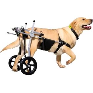 Fauteuil Roulant pour Chien de Taille Moyenne et Grande, Aide à la rééducation, attelle de Jambe arrière, Chariots pour Chien avec Roues, pour la rééducation des Pattes arrière (XXL) (Vie intelligente fr, neuf)
