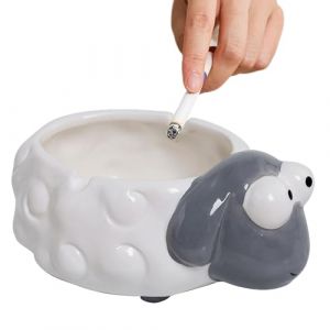 Cendrier anti-vent pour l'ext&eacute;rieur, cendrier Biluer pour l'ext&eacute;rieur, cendrier de poche cendrier de poche cendrier dr&ocirc;le avec couvercle pour l'ext&eacute;rieur cendrier en c&eacute;ramique (Biluer, neuf)