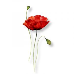 Autocollant De Tatouage Imperméable Fleur D'Aquarelle Mandala Coquelicot Rouge Sang Imperméable Longue Durée Frais Peint À La Mainfaux Tatouage Temporaire (YUZHIQUAN, neuf)