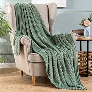 MIULEE Couverture Plaid Flanelle Velours Jeté Housse de Lit Canapé Chambre Sofa Peut Ëtre Utilisé dans 4 Saisons 1 Pièce Douce Fourrure Polaire Douce et Chaude Voilage Bébé 220X240CM Vert Clair (MIULEE HOME, neuf)