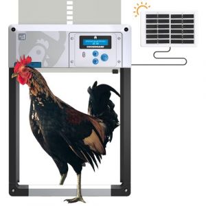 Porte poulailler Automatique 'ChickenGuard All-in-One'. Écran LCD programmable, Mode Hiver Puissant, Capteur de Lumière/Minuterie, Arrêt de Sécurité, Porte/Trappe en Aluminium (Gris + Kit Solaire) (Doodlehouses SL, neuf)