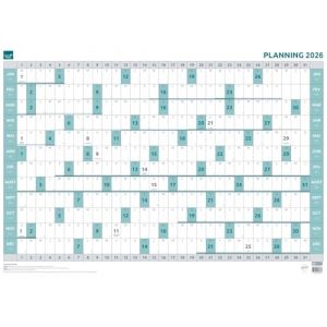 QUO VADIS - 1 Planning Annuel - Janvier 2026 à Décembre 2026 - Format 90 x 63 cm - Ecriture Effaçable (Papeterie Libellus, neuf)