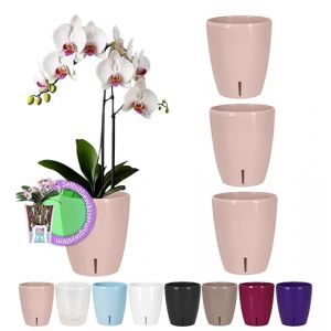 Santino ORCHIDEA Lot de 4 Pots &agrave; Orchid&eacute;e avec Syst&egrave;me de M&egrave;che et Indicateur de Niveau d'eau (Diam&egrave;tre: 15 cm, 2 L, Lavande) (Gartenlux, neuf)