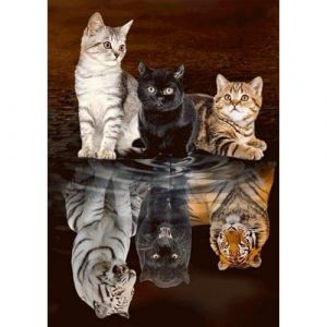 MEIYUDA Diamond Painting 5D Complet, Peinture Diamant Adulte Diamond-Painting Chats Reflets de Tigre, Diamond Painting Enfant Diamant Strass Point de Croix Cristal Painting Murale Décoration 30x40cm (JINBEIKANG, neuf)