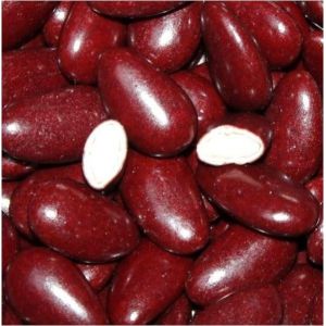 Coffret Dragée 1KG bordeaux aux amandes (Dounia Mariage, neuf)