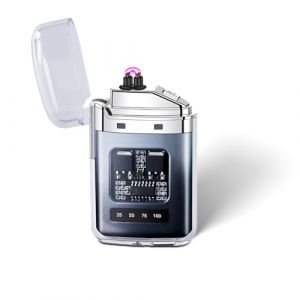EleBikk Briquet électronique, Briquet Rechargeable Type-C, Bri-Quet à Arc électrique Double, Affichage de Puissance LED, Plasma à Double Arc Coupe-Vent, Compact et Facile à Transporter (pingniao, neuf)