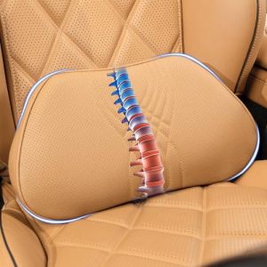 Dapucarin Coussin de Soutien Lombaire Ergonomique, Oreiller de Soutien du Dos Dossier Support Dorsal en Mousse à Mémoire pour Siège de Voiture Chaise de Bureau, Marron Palomino, 1 Pièce (Dapucarin, neuf)