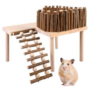 Échelle d'escalade pour Hamster, Plate-Forme pour Hamster, Plate-Forme d'escalade pour Hamster, Échelle en Bois pour Hamster, Plate-Forme en Bois De Hamster, pour Gerbille, Hamsters Jouets d'escalade (DING VICTORY LIMITED, neuf)