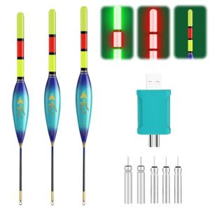 DAZZTIME Accessoires de Pêche,3 pièces Flotteur PêChe,Flotteurs de Pêche à LED,Bouchon Peche,Flotteurs pour Pêche,Bouchon Lumineux Peche,Flotteurs LED Adaptés à la Pêche (Dazzling-EU, neuf)
