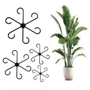 RoserRose Ensemble de Supports pour Plantes - 8 Support Plantes Interieur - Aide &agrave; Grimpante Monstera et Supports pour Plantes - Tuteurs pour Plantes d'Int&eacute;rieur, Plantes Vivaces et Fleurs (8, Noir) (Roserrose, neuf)