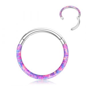 BodyBonita Devant Violet Opale Septum Piercing Nez - 16G Anneaux de Nez &agrave; Charni&egrave;re en Acier Chirurgical 316L Femmes Anneaux Septum Conch Helix Daith Bijoux Piercing Argent 8mm (BodyBonita Jewelry, neuf)