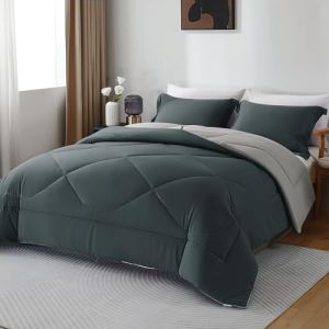 beeweed Couette 300GSM en Microfibre, Certifi&eacute;e Oeko-TEX, &Eacute;dredon Lit 2 Personne 240x260 cm, Toutes 4 Saisons et Hiver pour Lit 160x200/180x200/200x200, Chaud &Eacute;pais Garnissage 300g/m&sup2; (LANNERET EU STORE, neuf)