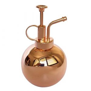 LianShi Flacon pulv&eacute;risateur en Acier Inoxydable pour Plantes-Petit arrosoir-Outils de Jardinage Modernes pour Plantes en Pot d'int&eacute;rieur-Arrosage et pulv&eacute;risation (Or Rose, 0.5L) (LianShi FR Store, neuf)