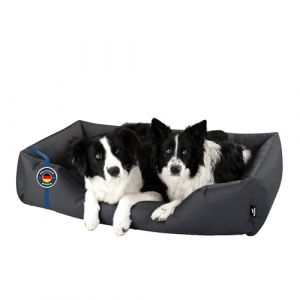 BedDog Zara Lit pour Chien XXL - Orelier - Panier - Canapé - Housse Amovible, Lavable, pour Moyen-Grands Chiens (SOGO-GmbH, neuf)