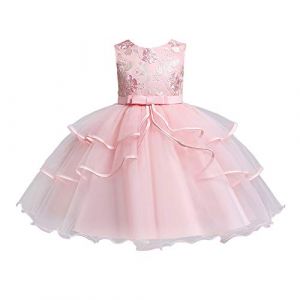 2025 - Robe pour enfant V&ecirc;tements Dentelle Princesse Cosplay F&ecirc;te Robe de soir&eacute;e tout-petit sans manches V&ecirc;tements & Jupe Princesse Fille, Rose, 2-3 ans (⭐⭐⭐⭐⭐GuoWeiJin, neuf)