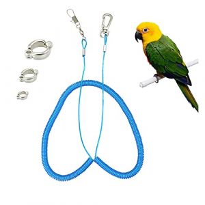Andiker Corde volante pour perroquet, 5 mètres Chaîne de pied de perroquet Sangle d'entraînement au vol en plein air, harnais d'entraînement en corde élastique anti-morsure pour Agapornis Fischeri (JDCR Cozy Life Mall, neuf)