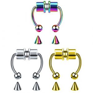 3 Pi&egrave;ces Anneau de nez &agrave; septum magn&eacute;tique Anneau de nez en acier inoxydable Fer &agrave; cheval Faux cerceau Anneau de nez r&eacute;utilisable Anneau de nez Boucles d'oreilles en acier inoxydable non per&ccedil;antes (hanxinyedeouzhoudianpu, neuf)
