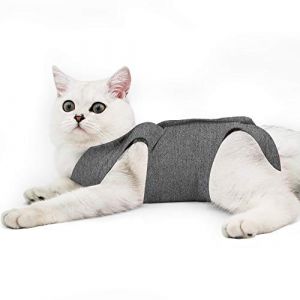 Doton Cat Professionnel Restauration Convient pour abdominaux Collerette des plaies ou des Maladies de la Peau, Alternative pour Chiens et Chats, apr&egrave;s la Chirurgie Porter (M,Gris) (Dotoner FR, neuf)