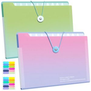 Qaestuan 2 Pcs Porte Document Mati&egrave;re Plastique, Trieur 12 Compartiments A4, Trieur &agrave; Documents avec Fermeture Snap, Convient &agrave; la Maison, &agrave; l'&Eacute;cole et au Bureau (Pente) (QIAOLUO, neuf)