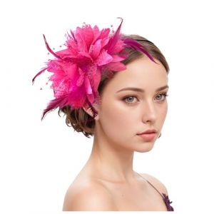 Chapeau bibi vintage pour femme - Voile de mari&eacute;e - Accessoire de cheveux - Plume - Voile - Banquet - Chapeau en maille - Barrettes &agrave; cheveux &eacute;l&eacute;gantes - Pour carnaval, cocktail, th&eacute; (Woybda, neuf)