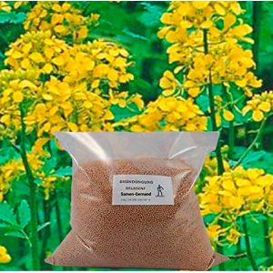 Samen-Gernand Engrais vert &agrave; la moutarde jaune Top Q 2 kg pour 400 m&sup2; de graines fra&icirc;ches (Dasmo GmbH, neuf)